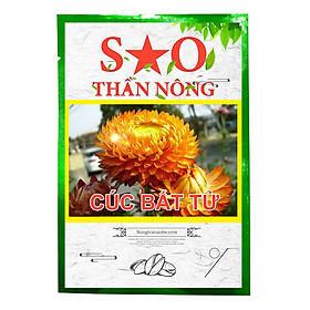 Hoa cúc bất tử mix nhiều màu Sao Thần Nông hoa to đẹp dễ chăm sóc thời gian để gieo hạt giống thích hợp nhất là vào đầu mùa xuân. Hoặc nếu đỡ qua rồi thì bạn có thể chọn cuối mùa hè hoặc là mùa thu để gieo hạt