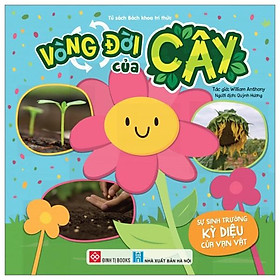 Sách Sự Sinh Trưởng Kỳ Diệu Của Vạn Vật - Vòng Đời Của Cây