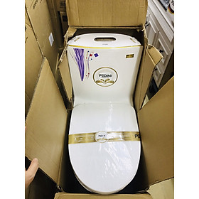 Mua Bệt xí liền khối hoa văn tím PEDINI