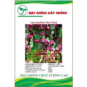 Hạt giống Hoa Chuông tím 2 tầng dây leo CT258 - Gói 5 hạt