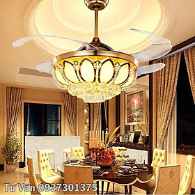 Mua Quạt Trần Trang Trí+Đèn Chùm-Tặng Kèm Bộ Điều Khiển