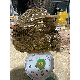 Mua Tượng con cóc phong thủy hút tài lộc bằng gỗ mun đuôi công kt 47×47×40cm