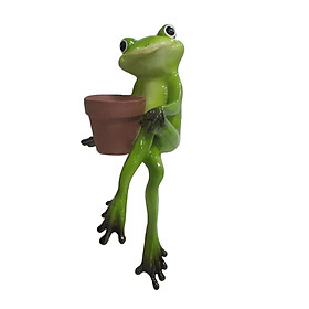 Green Frog Sedum Succulent Flower Pot Small Planter