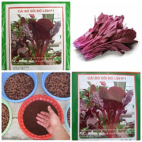 Hạt giống cải bó xôi đỏ chịu nhiệt F1 - 50 hạt/gói