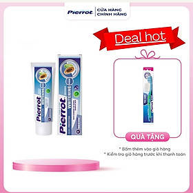 [ Tặng bàn chải trắng răng ] Kem đánh răng làm trắng răng bảo vệ men răng PIERROT 75ml