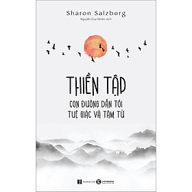 Sách Thiền Tập - Con Đường Dẫn Đến Tuệ Giác Và Tâm Từ