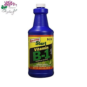 Vitamin B1 Chai 946ml - Sản phẩm của hãng Liquinox USA - Nhập khẩu nguyên seal