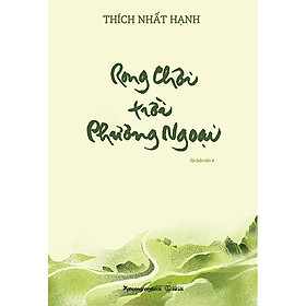 Rong Chơi Trời Phương Ngoại (Tái bản năm 2023)