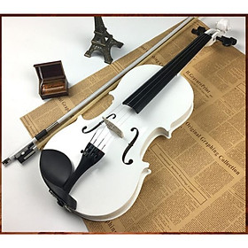 Đàn Violin WOIM Size 4/4 Bằng Gỗ