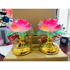 Mua Combo 2 đèn hoa sen  nhựa để  bàn thờ 7 màu rất đẹp và sang trọng  dòng điện 220V  bóng đèn trái ớt  có thể thay bóng được   phù  hợp thờ cúng ông bà   tổ tiên   thần tài   ông địa   thờ Phật   giúp cho không gian thờ phụng trở nên sinh động và ấm áp hơn 
