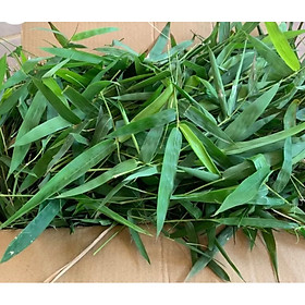 Lá tre tươi, phơi khô sạch, thơm 1kg đặt hàng mới hái