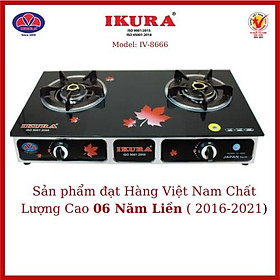 Mua Bếp Gas Đôi Dương IKURA IV-8666 - Mặt Kính Cường Lực - Hàng Chính Hãng