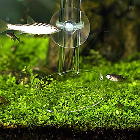 2Pcs Aquarium Clear Glass Shrimp Feeding Tube Food Dish Feeder Container