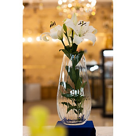 Mua Bình hoa pha lê Tiệp BOHEMIA 2213  cao 24.5 cm  màu trắng trong và tím  kiểu dáng sang trọng  hiện đại - Hàng chính hãng