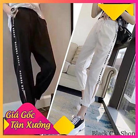 QUẦN BOM LƯỚI, QUẦN ĐŨI BO GẤU SỌC CHỮ amour