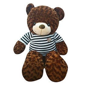 Gấu Bông Teddy Áo Thun Màu