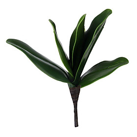 Nhánh Lá Cây Hoa Lan Trang Trí Xanh