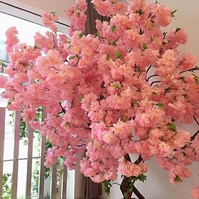 Mua 10 cành hoa đào bông xù cao cấp