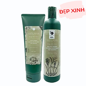 Cặp dầu gội gừng hà thủ ô 400ml + dầu xả gừng hà thủ ô 250ml kích mọc tóc Weilaiya Zingiber Officinale Juice