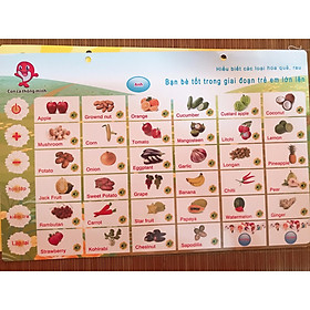 Sản Phẩm Giáo Dục Điện Tử