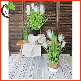 Mua Hoa giả  cây cỏ lau 2 bông dài 1m trang trí nhà cửa  cửa hàng  văn phòng  lớp học