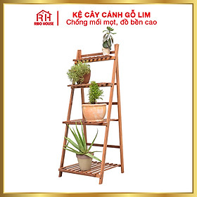 Kệ cây cảnh gỗ Lim đa năng hình thang chống mốc gấp gọn RIBO HOUSE chống mối mọt độ bền cao RIBO67, dùng trang trí nhà cửa, kệ để đồ tiện ích thông minh cho gia đình