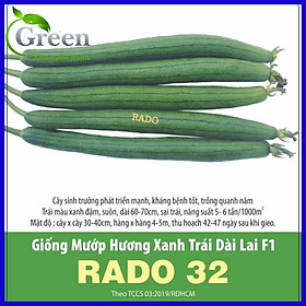 Mua Hạt Giống Mướp Hương Xanh Trái Dài Lai F1 Sai Trái