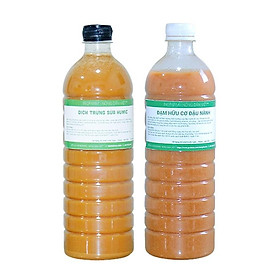 Mua Combo 1 lít dịch đậu nành + 1 lít trứng sữa   phân bón cho hoa hồng  hoa lan  rau sạch sân thượng