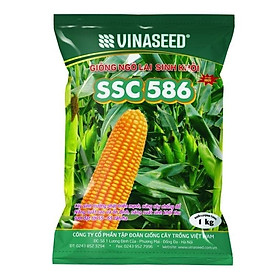 Mua Hạt giống ngô sinh khối SSC 586