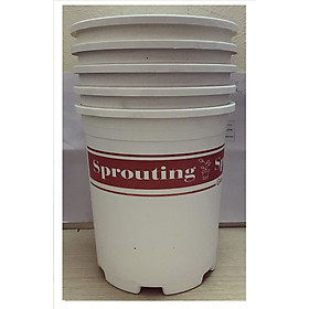 5 Chậu Nhựa Trắng Size 3 (3Gal) Sprouting -Gieo Mầm Cuộc Sống