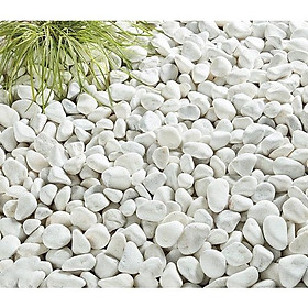 Sỏi đá trắng trang trí vườn, cây, lối đi 1kg