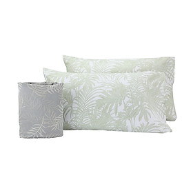 Bộ ga gối 3 món cho giường 1m6 PALMERAL vải cotton mềm mịn, họa tiết lá cọ xanh trang nhã | Index Living Mall - Phân phối độc quyền tại Việt Nam