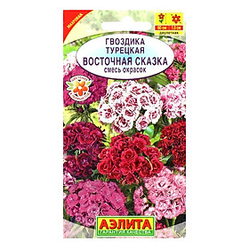 Hạt Giống Cẩm Chướng Cầu Mix Ailita (0,5g)
