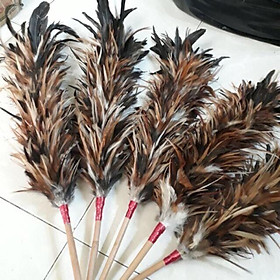 Mua CHỔI LÔNG GÀ TRỐNG LOẠI 1 ĐẸP ÓNG MƯỢT