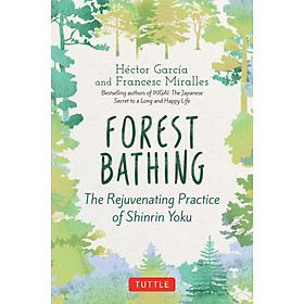 Hình ảnh Forest Bathing: The Rejuvenating Practice of Shinrin Yoku