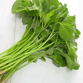 Mua Hạt giống rau dền xanh cao sản lá nhọn VTS34