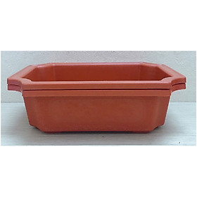 2 Ang Chữ Nhật Trồng Hoa Cây Cảnh 240x170x70mm