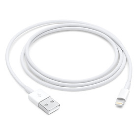 Dây Cáp Apple Lightning To USB Cable (1m) - Hàng Chính Hãng