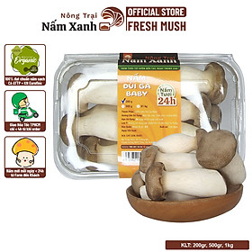 Nấm Đùi Gà Tươi Baby 1kg - Nông Trại Nấm Xanh