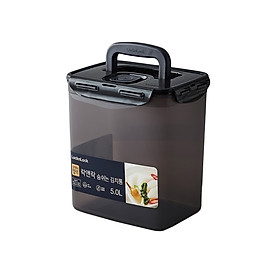 Mua Hộp Muối Kim Chi LocknLock Breathing Kimchi 2.6L 4.5L  Hàng Chính Hãng  Có Quai Xách - JoyMall