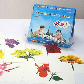 Dạy Trẻ Học Nói - Bộ Thẻ Học Flash Card Glenn Doman Thế Giới Xung Quanh