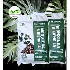 Giá thể trồng MONSTERA & KIỂNG LÁ giúp cây hấp thụ dinh dưỡng tốt hơn túi 3 ký.