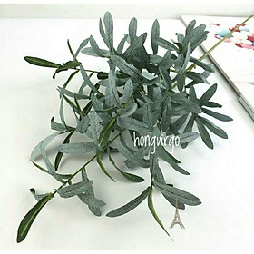 Mua Cành Lá Oliu Giả - Cành Lá Oliu Trang Trí 6 nhánh dài 90cm