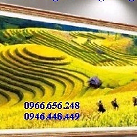 Mua tranh thêu chữ thập phong cảnh ruộng bậc thang MN0140 (chưa thêu) tranh phong cảnh Việt Nam