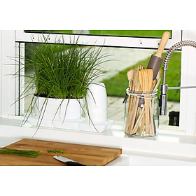 CHẬU TRỒNG RAU TỰ DƯỠNG NHẬP KHẨU CHÂU ÂU TỰ ĐỘNG TRONG 2 THÁNG, SỬ DỤNG 10 NĂM