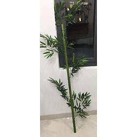 Mua Cây trúc  tre giả - Size từ 120cm đến 200cm - Cây giả  hoa lụa Decor trang trí nhà cửa