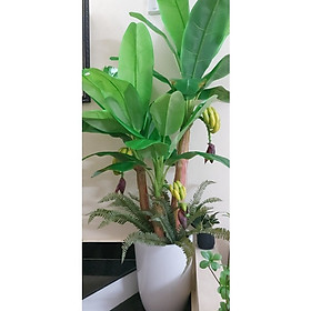 Mua Cây chuối quê giả có buồng - 3 thân - cao 160cm - Cây giả  hoa lụa Decor trang trí nhà cửa