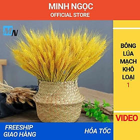 Mua Bông Lúa Mạch Khô  Trang Trí Nhà Cửa  - Siêu Thị Minh Ngọc
