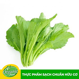 Chỉ Giao HCM - Cải Bẹ Xanh Hữu Cơ - 300g