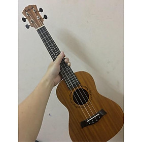 Mua ĐÀN TẠO CHO BẠN BEE